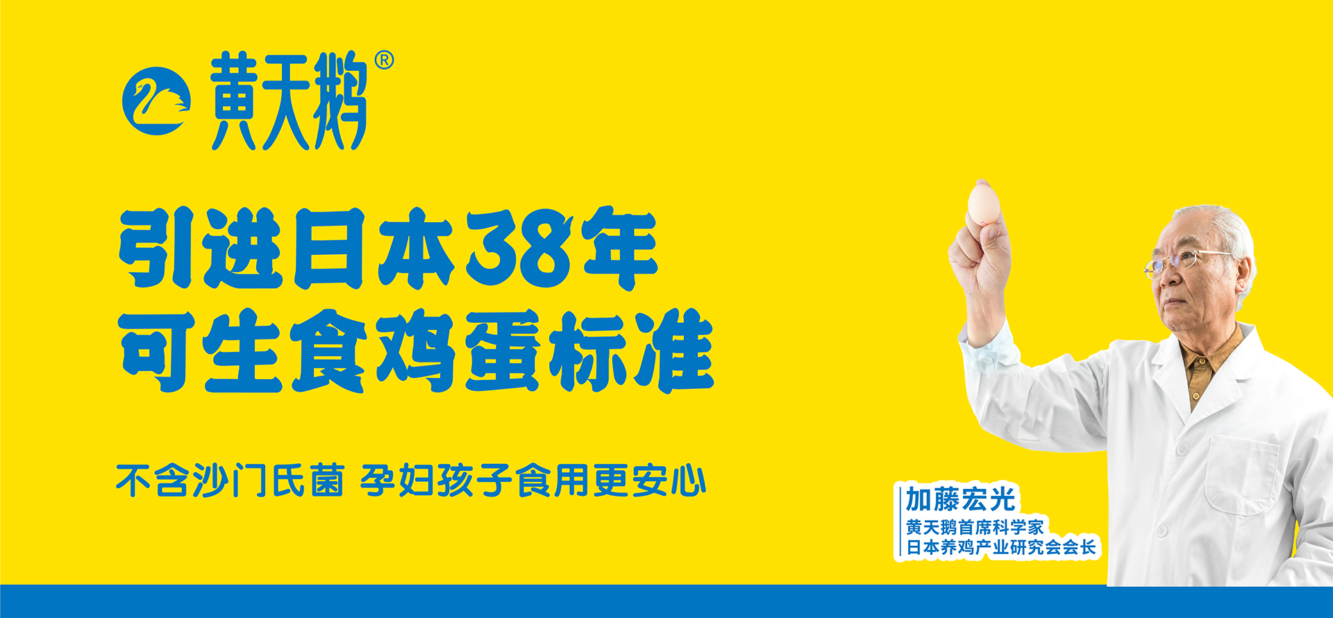 黄天鹅！深圳logo设计撬动3000亿市场的鸡蛋
